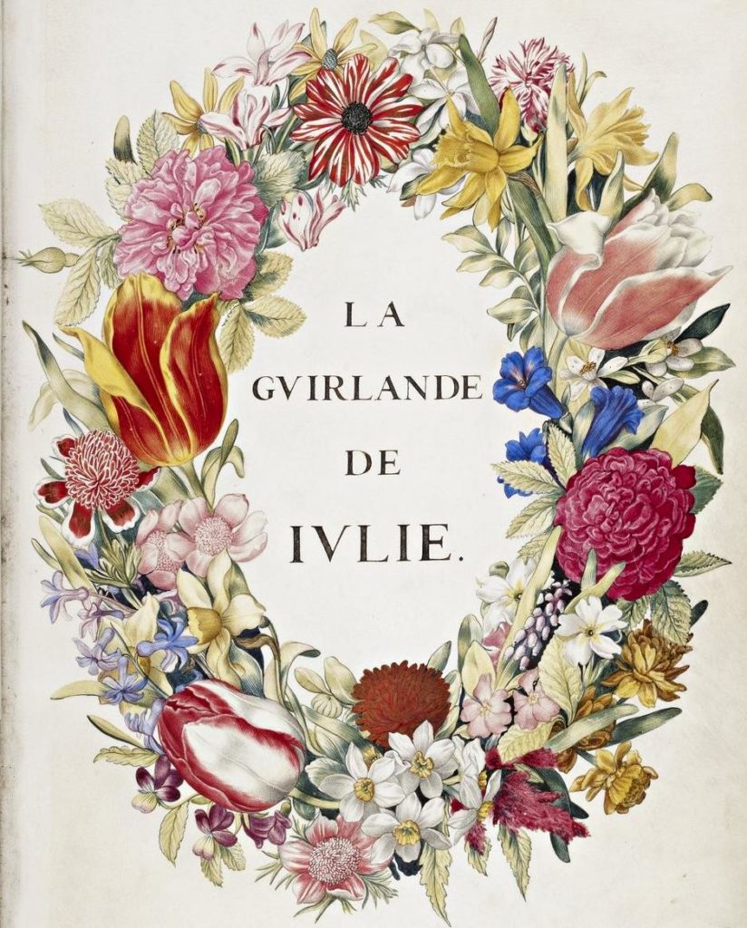 julie d'angennes